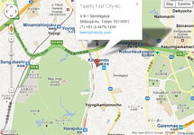 google map